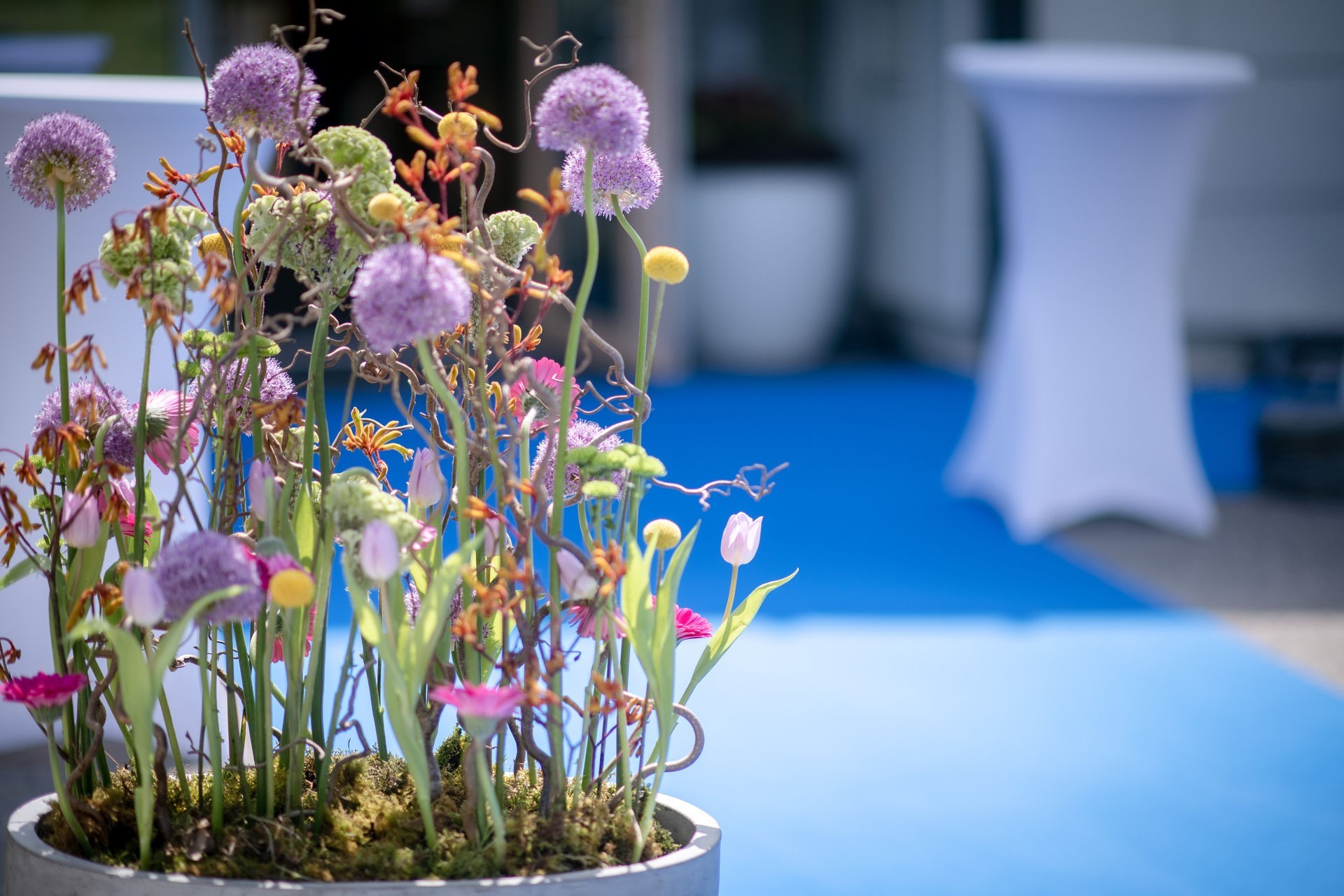 7 - 20 Jahre IMC  007.jpg